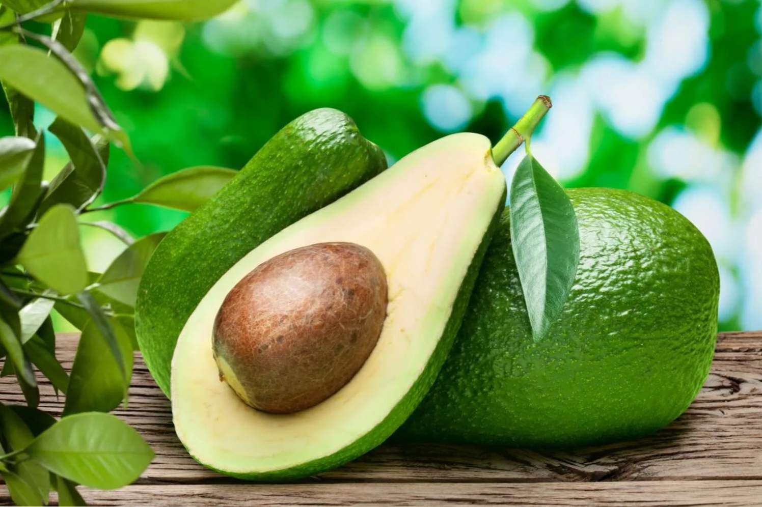 Як дозріти авокадо в домашніх умовах як і де зберігати незрілий плід для дозрівання і скільки часу буде потрібно