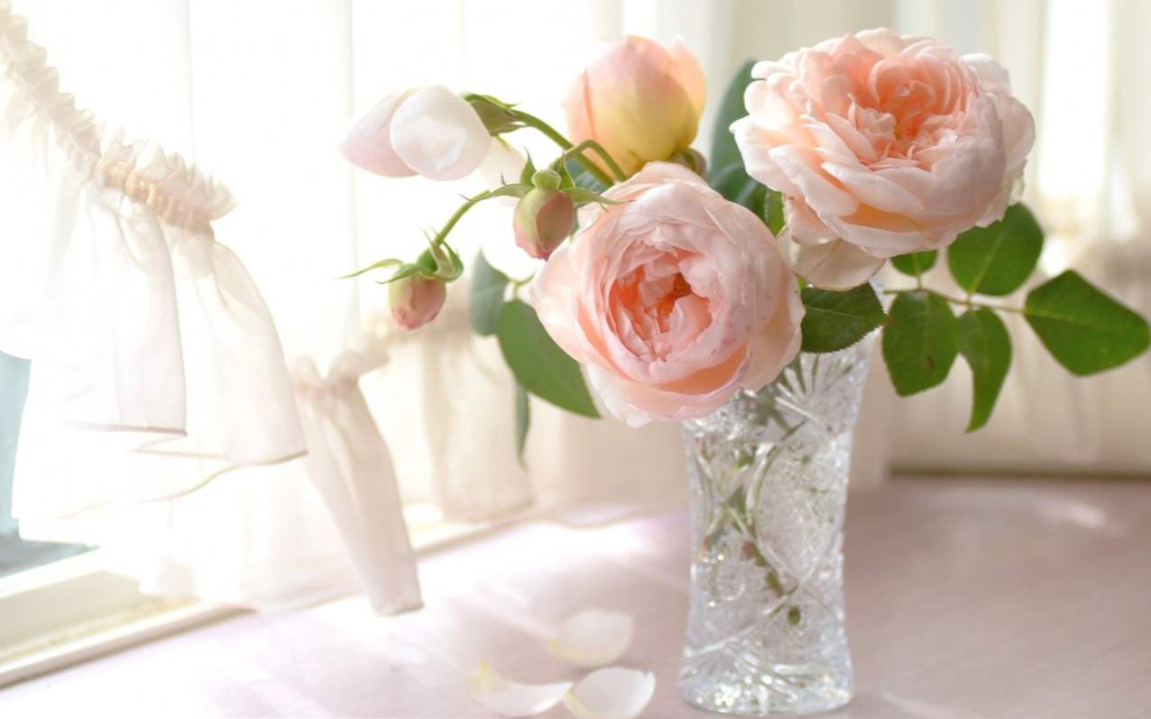 Kako rešiti vrtnice - 10 načinov, kako dlje rezati cvetje