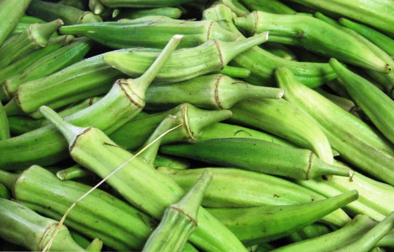 Okra (abelmosh jedilna, okra), kaj je, kako rastejo zelenjava, sajenje in oskrba