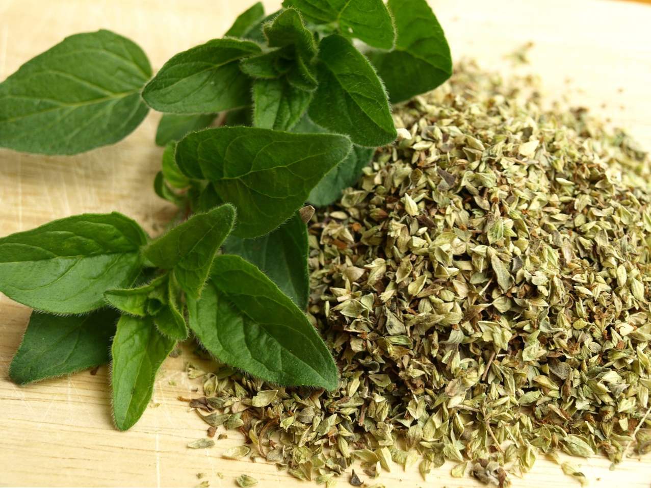 Przyprawowe oregano (oregano) stosowane w kuchni