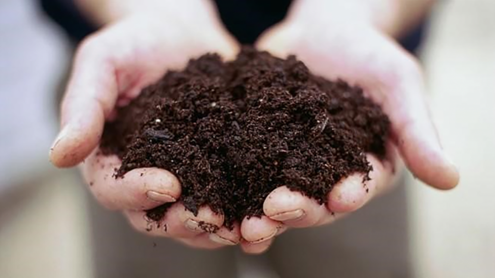 Gnojiva za vrtove i vrtove kuhinje popis organskih, mineralnih i složenih gnojiva, koristiti u proljeće i jesen