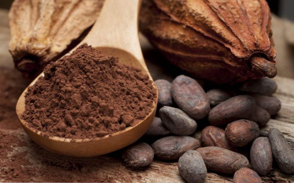 Kakao praha u domaćinstvu - 7 ukusnih i aromatičnih recepata