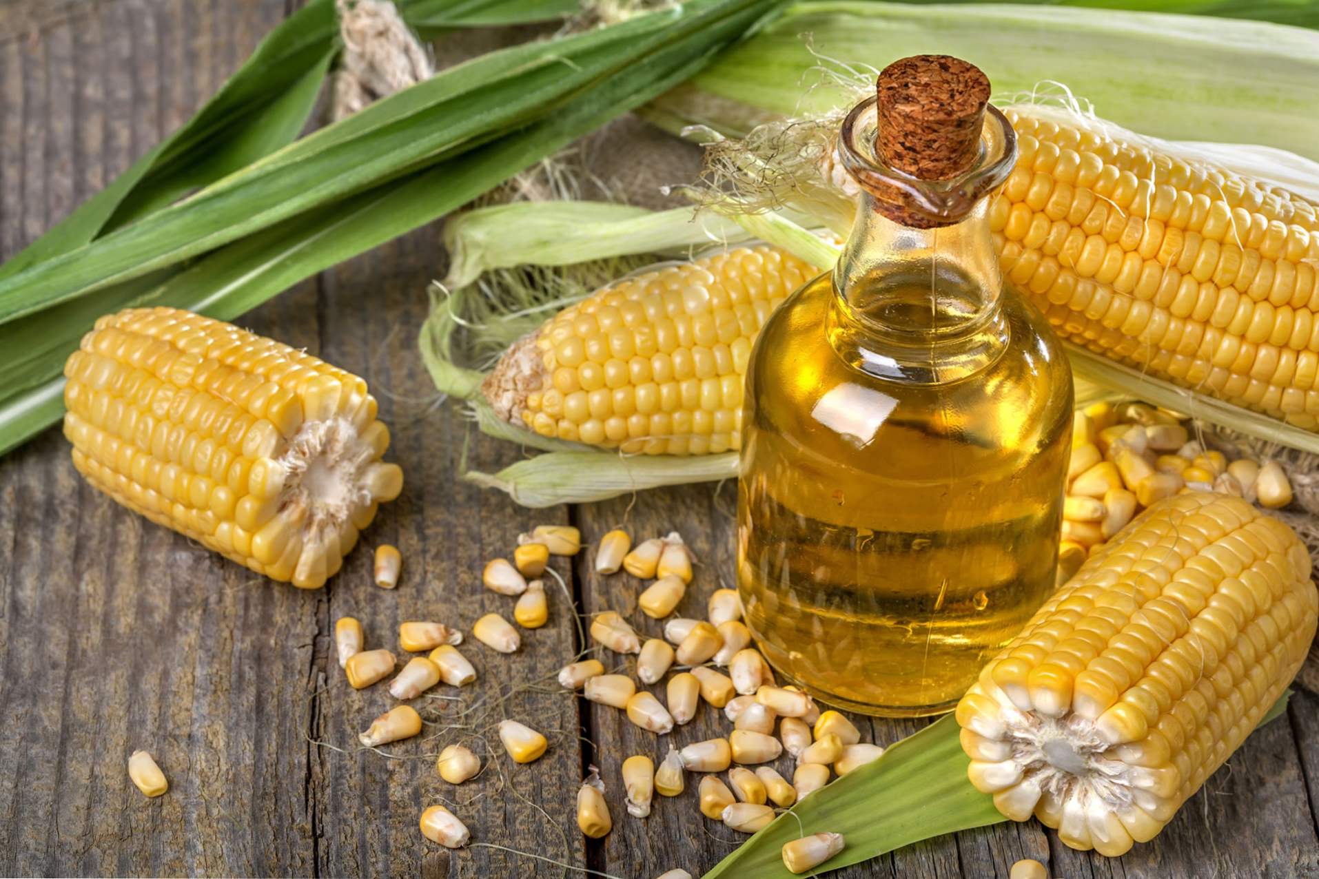 Kukuričný olej má priaznivé vlastnosti pre ľudské telo, použitie vo varení a kozmetike, kontraindikácie