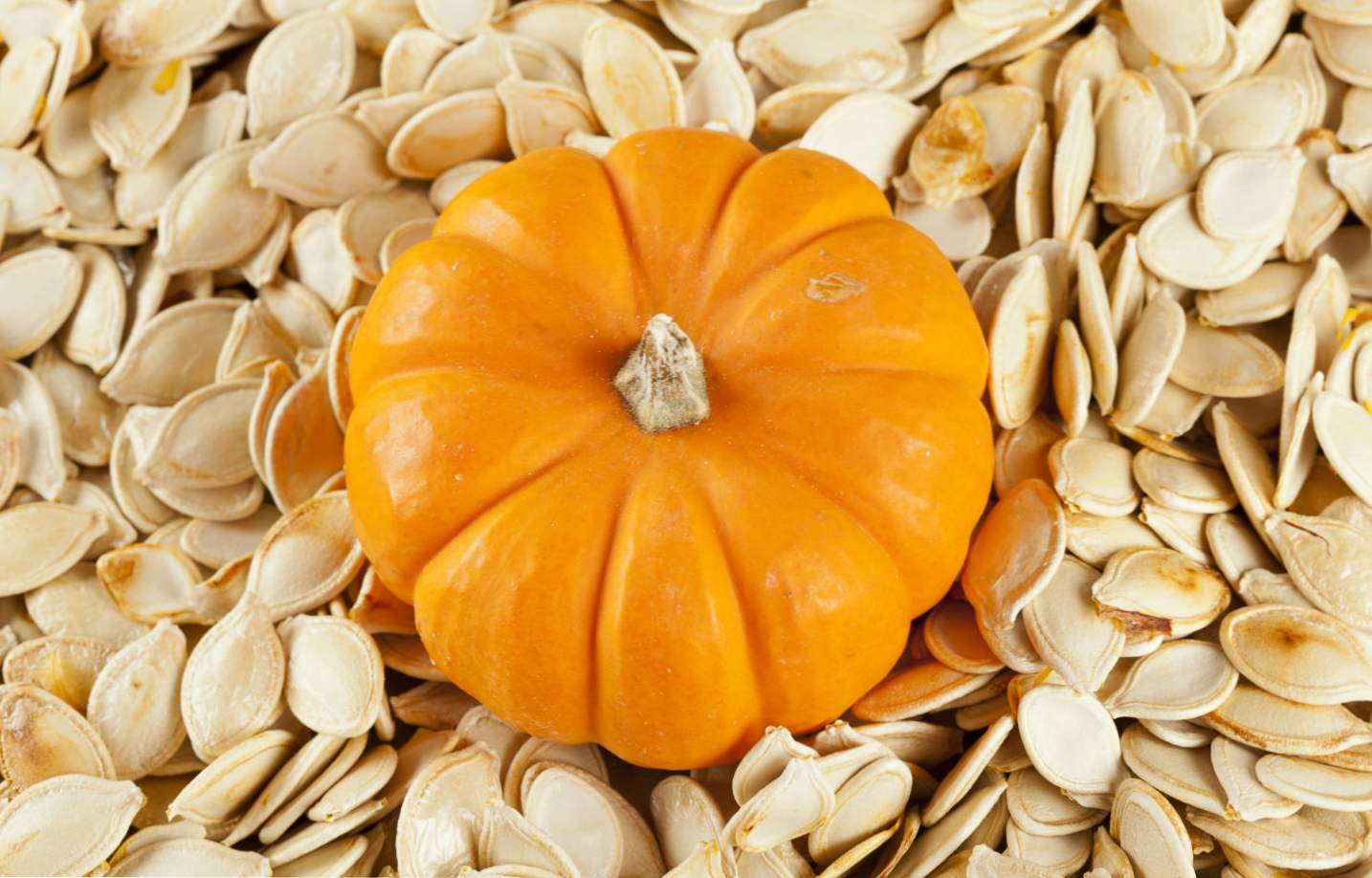 Pumpkin semena so najboljše sorte, kako posaditi bučo na odprtem tleh s semeni?