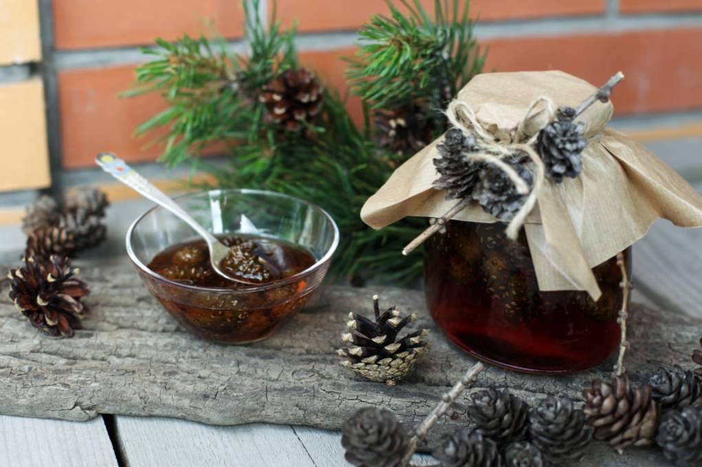 Pine cones marmelade i kontraindikacije. 5 recepata, kako kuhati ljekovito zastoj