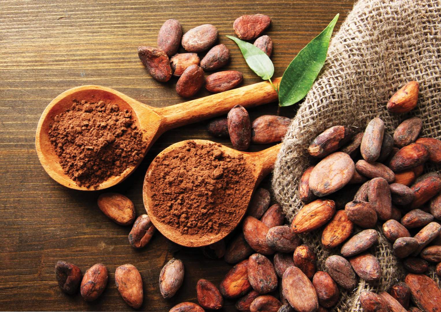 Какао користь і шкода для здоров'я, застосування і протипоказання