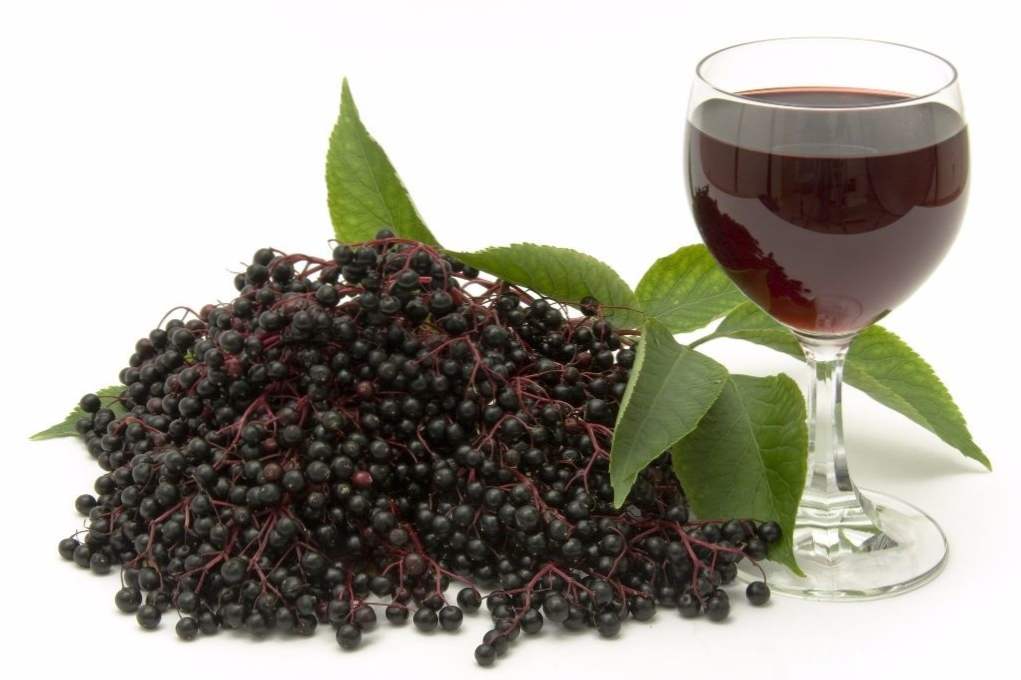 Čierne chokeberry víno doma 7 jednoduchých krok za krokom recepty