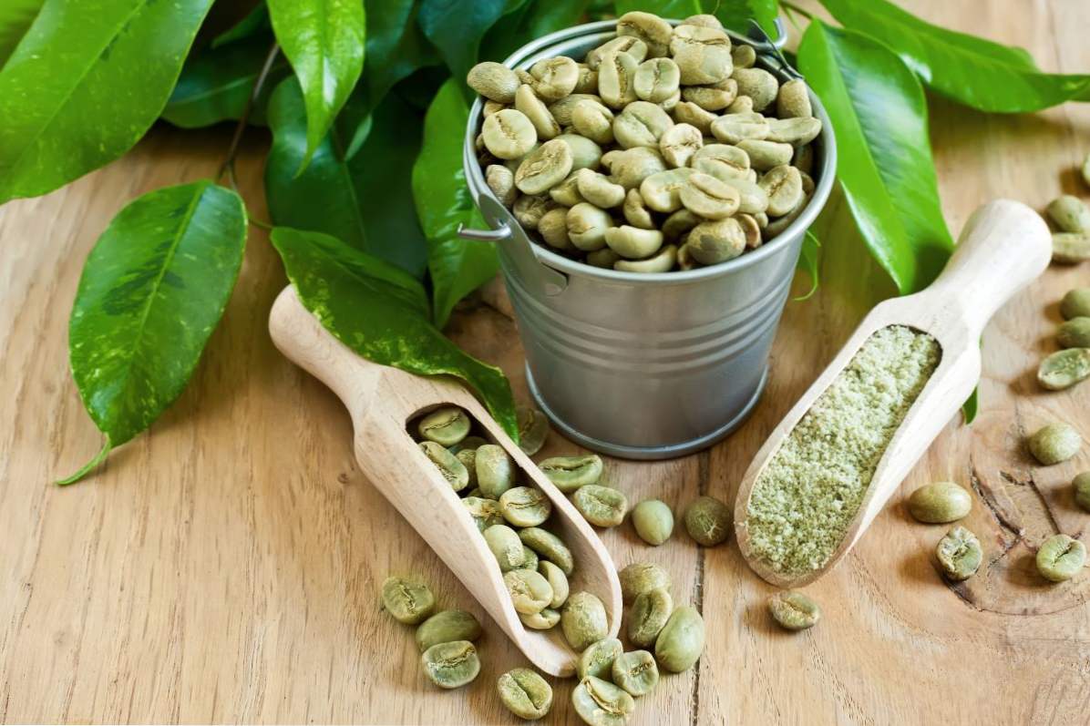Зелена кава користь і протипоказання, як правильно заварювати і пити для схуднення