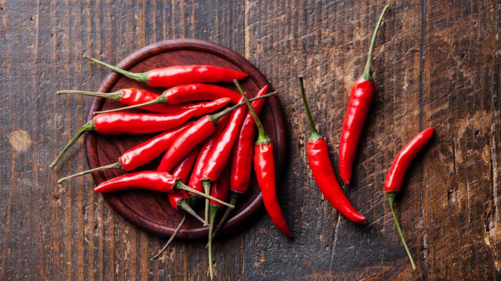 Cayenne paprika - što je to? Uzgoj i briga za papar u vrtu