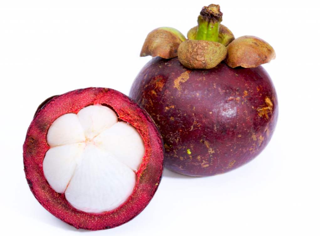 Mangosteen Syrup do instrukcji odchudzania