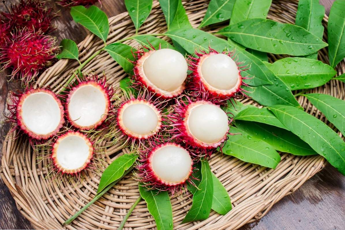 Rambutan popis, ako čistiť a jesť, aké sú užitočné vlastnosti ovocia