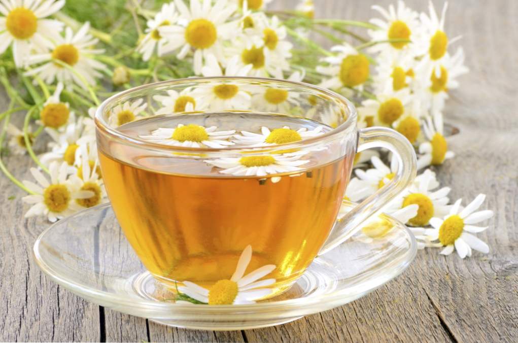 Herbata z rumianku - korzyści i szkody dla kobiet