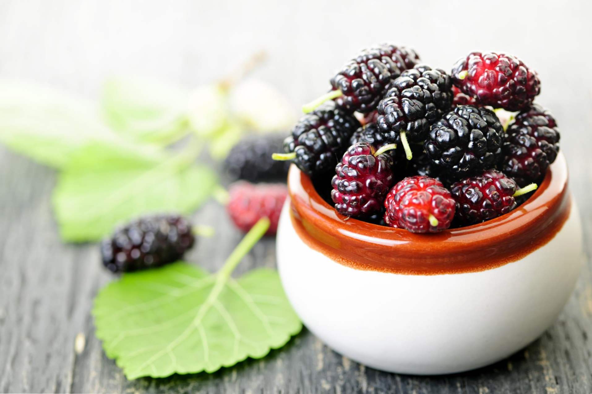Mulberry užitočné vlastnosti a kontraindikácie, výhody moruše pre ženy