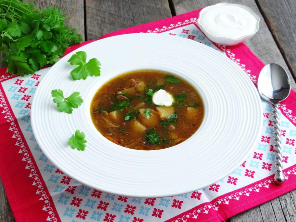 Суп із сушених грибів - 7 рецептів приготування вдома