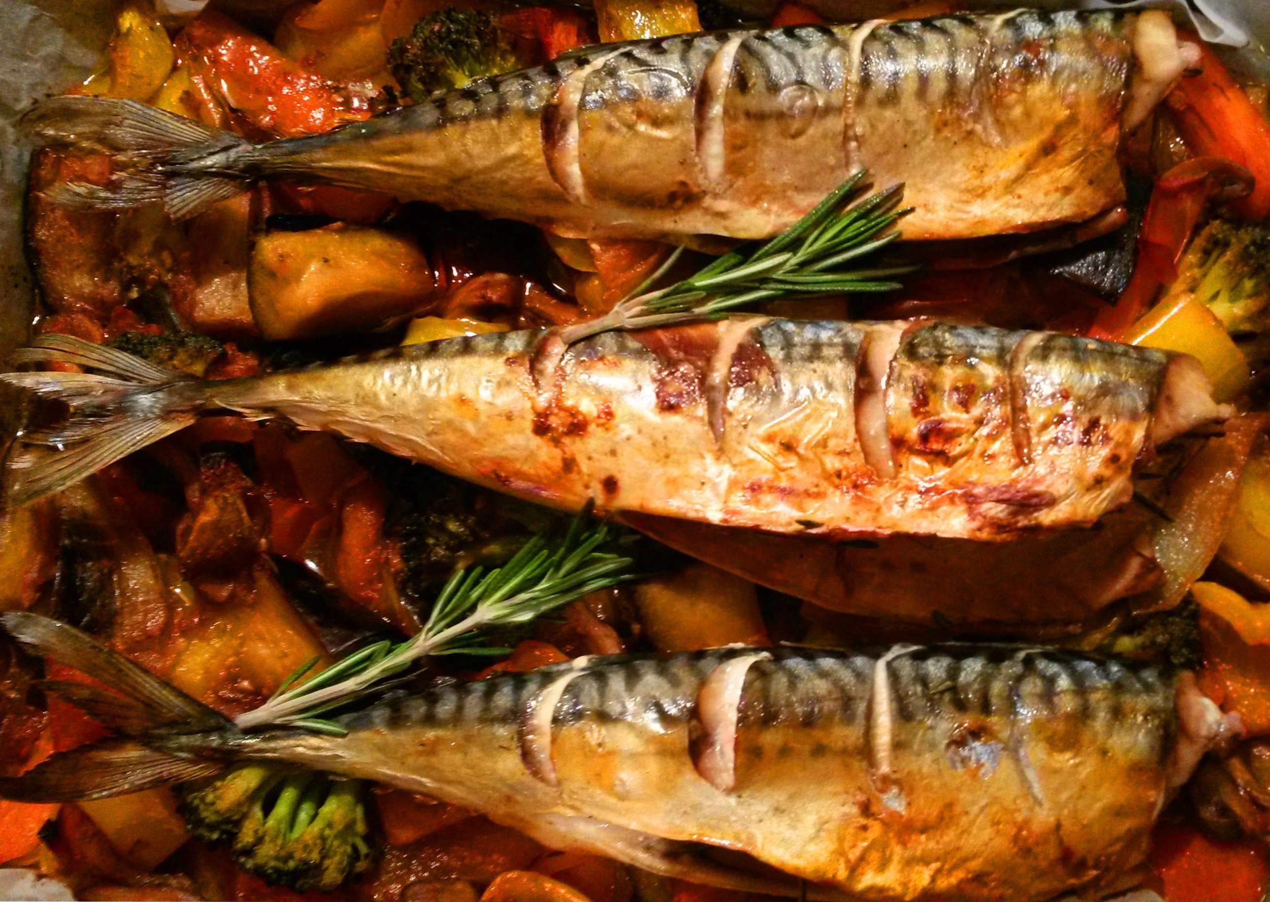 Pečená makrela - 10 vynikajúcich receptov