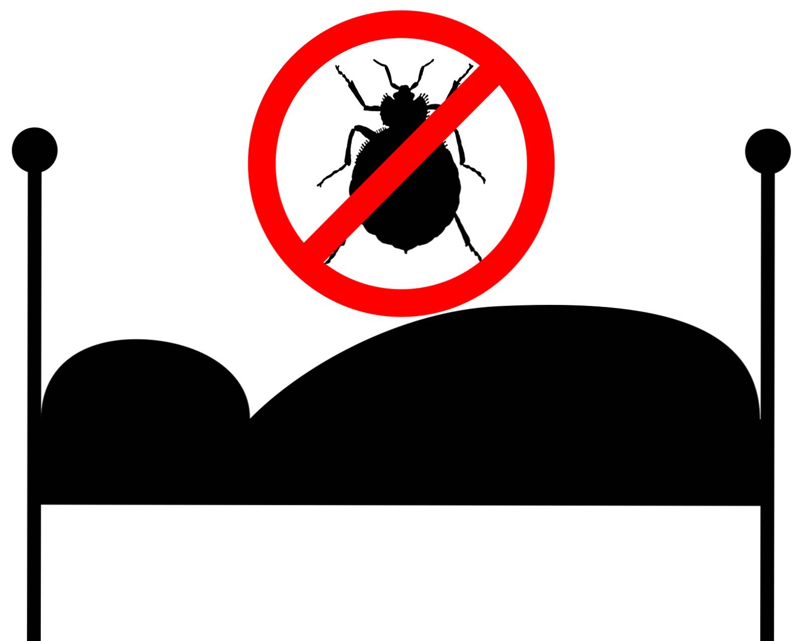 Liečba bedbug - najefektívnejšia a najlepšia