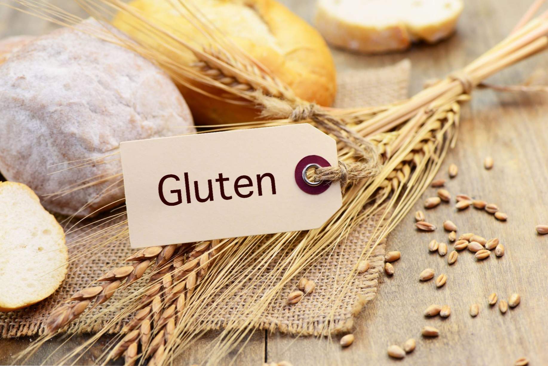 Kaj je gluten in zakaj je škodljivo?