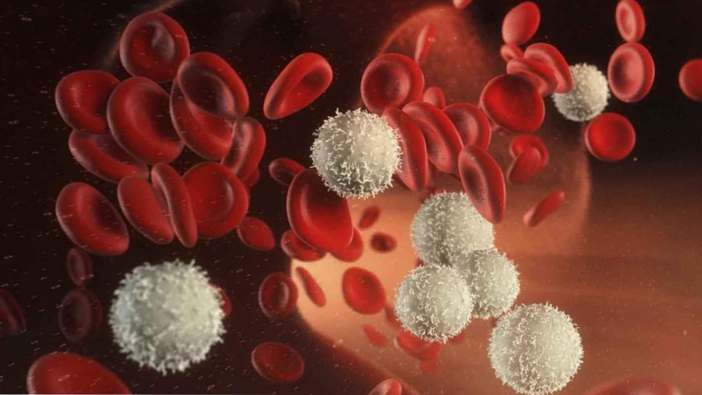 Rýchlosť leukocytov v krvi žien - tabuľka rôzneho veku