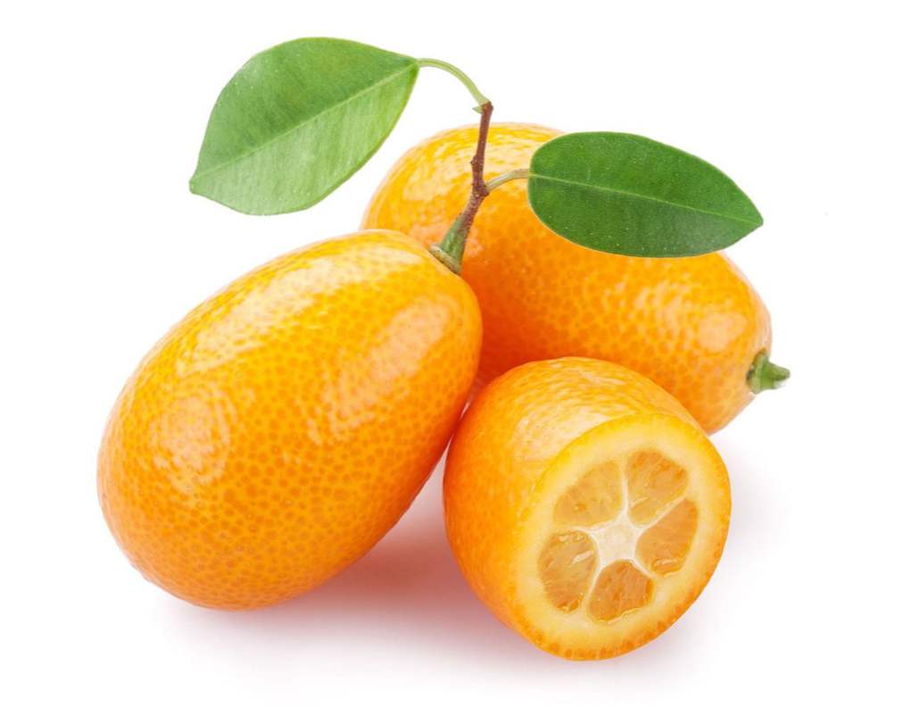 Kumquat, co to jest dla owoców. Przydatne właściwości suszonego kumkwatu