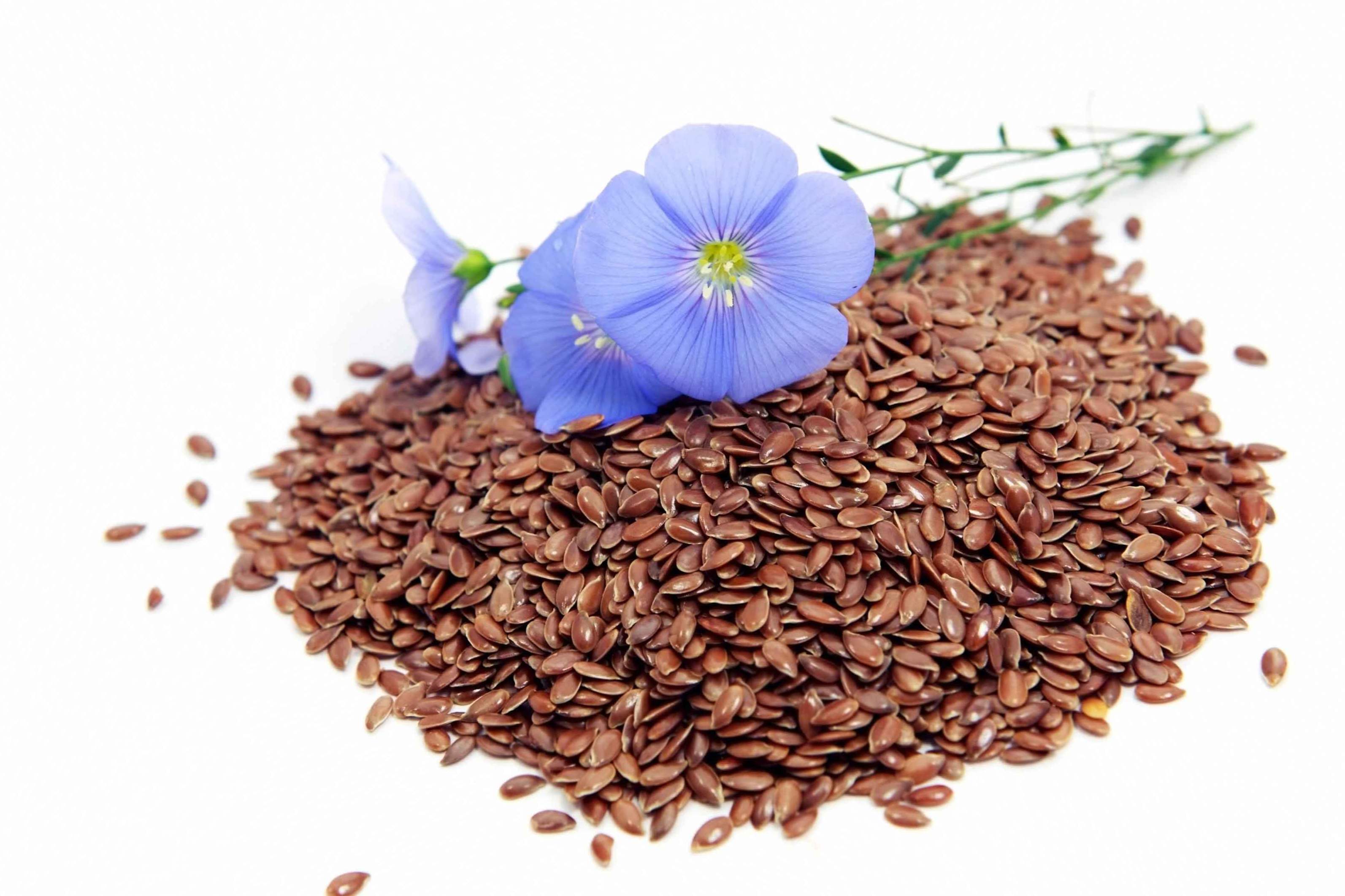 Koristne lastnosti lanenih semen in kontraindikacije