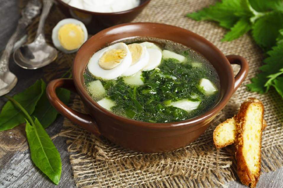 Zupa szczawiowa - 11 klasycznych przepisów z jajkiem